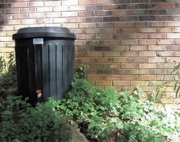 rain barrel rain barrel